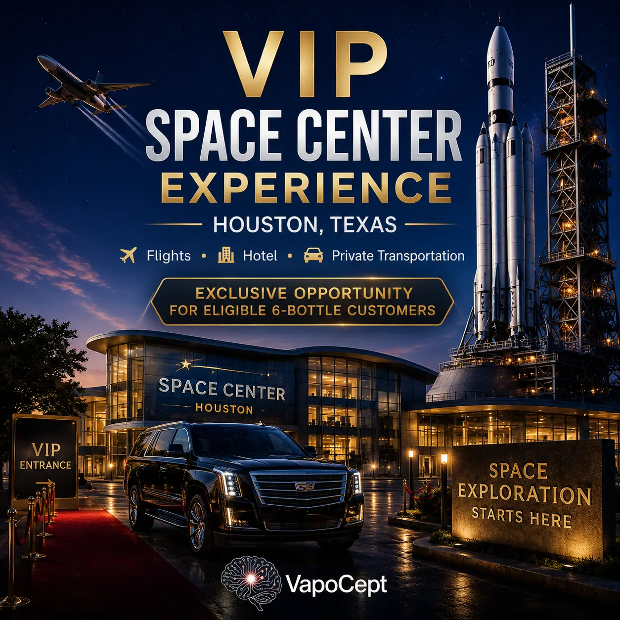 Promotional illustration for a VIP Houston space center experience